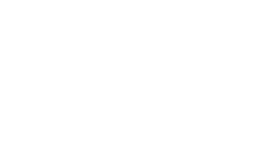 The Flex Co.